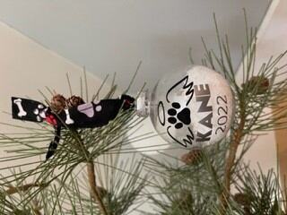 Pet memorial ornament with paw print hanging on a Christmas tree